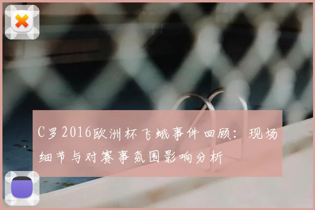 C罗2016欧洲杯飞蛾事件回顾：现场细节与对赛事氛围影响分析