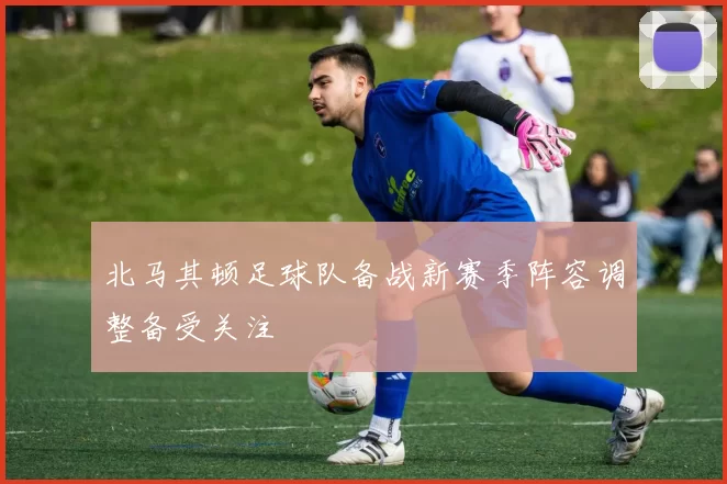 北马其顿足球队备战新赛季阵容调整备受关注