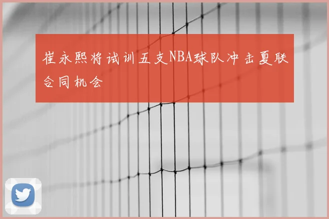 崔永熙将试训五支NBA球队冲击夏联合同机会