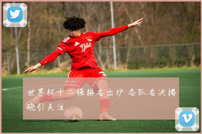 世界杯十二强排名出炉 各队名次揭晓引关注