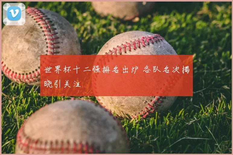 世界杯十二强排名出炉 各队名次揭晓引关注